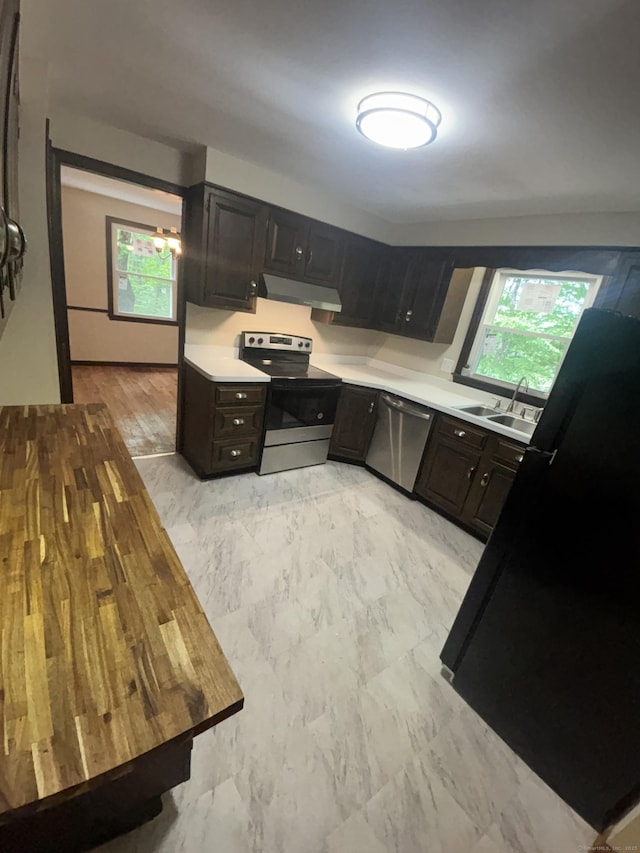 33 Hillsdale Dr, Ellington, CT 06029 - kitchen with stainless steel appliances, light countertops, under cabinet range hood, a sink, and dark brown cabinets