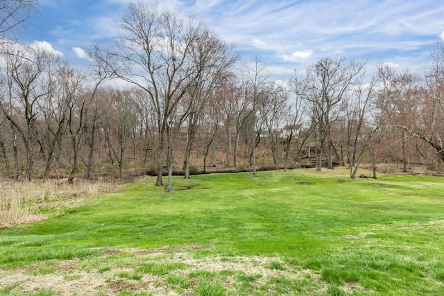 192 Hilton Dr, South Windsor, CT 06074 - view of green lawn