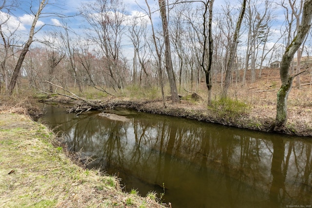 192 Hilton Dr, South Windsor, CT 06074 - water view