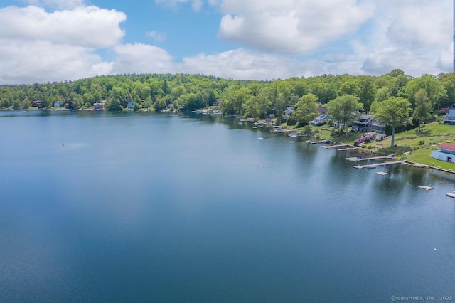 16 Pioneer Dr, New Hartford, CT 06057 - photo 6