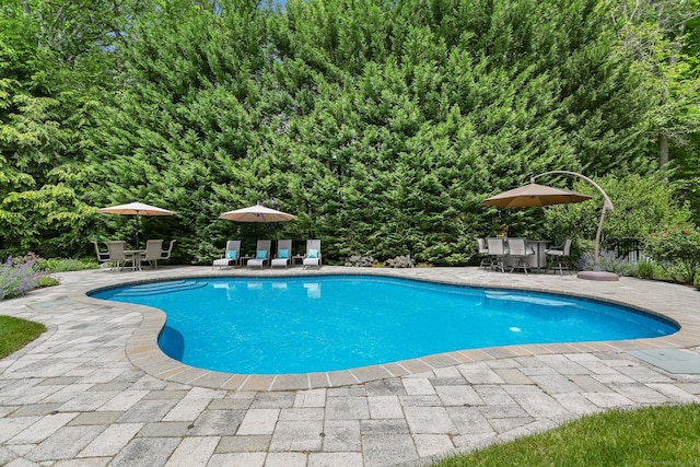 110 Florence Ln, Fairfield, CT 06824 - outdoor pool with outdoor dining area and a patio
