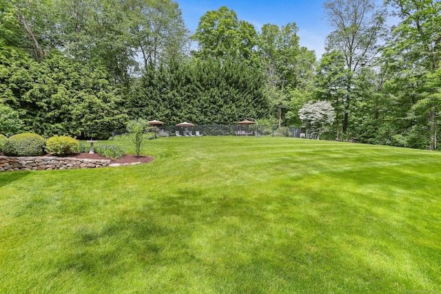 110 Florence Ln, Fairfield, CT 06824 - view of green lawn
