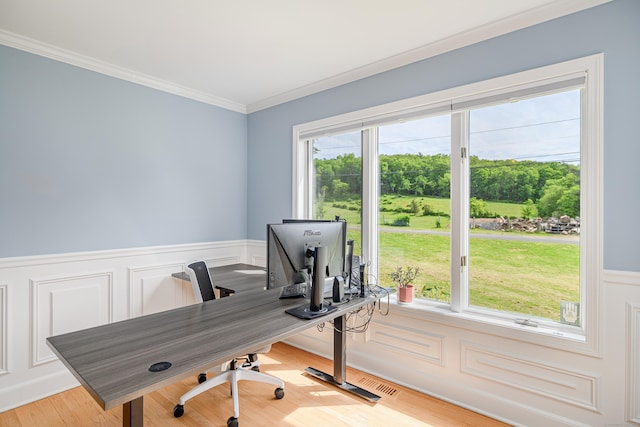 101 Railtree Hill Rd, Woodbury, CT 06798 - home office with ornamental molding, a wainscoted wall, a decorative wall, and light wood-style floors