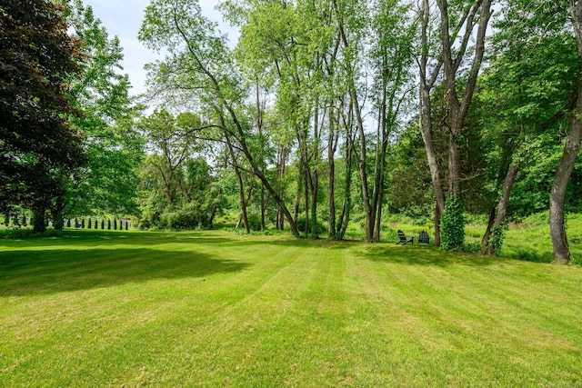 101 Railtree Hill Rd, Woodbury, CT 06798 - view of grassy yard