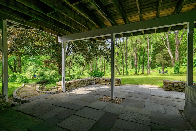 101 Railtree Hill Rd, Woodbury, CT 06798 - view of patio
