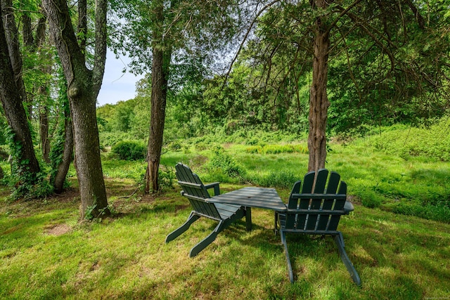 101 Railtree Hill Rd, Woodbury, CT 06798 - view of property's community