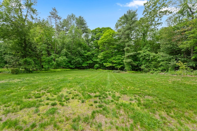 86 Cisar Rd, Willington, CT 06279 - photo 33