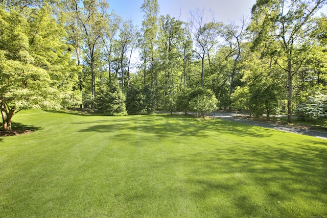 11 Dogwood Ln, Westport, CT 06880