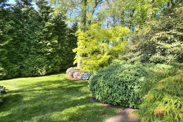 11 Dogwood Ln, Westport, CT 06880