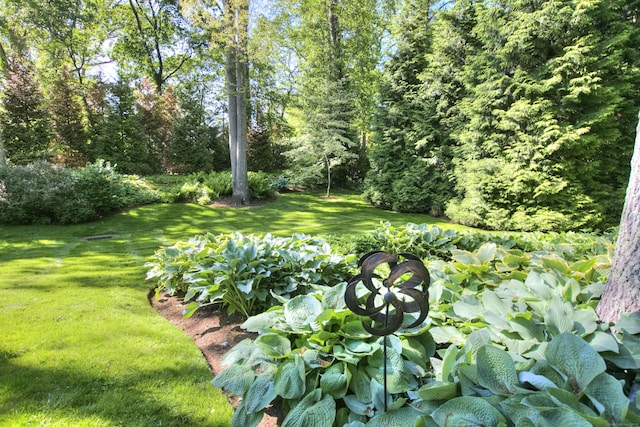 11 Dogwood Ln, Westport, CT 06880