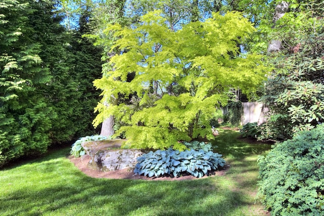 11 Dogwood Ln, Westport, CT 06880