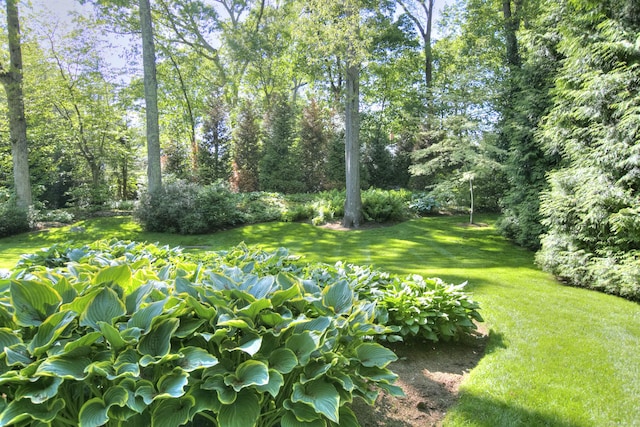 11 Dogwood Ln, Westport, CT 06880