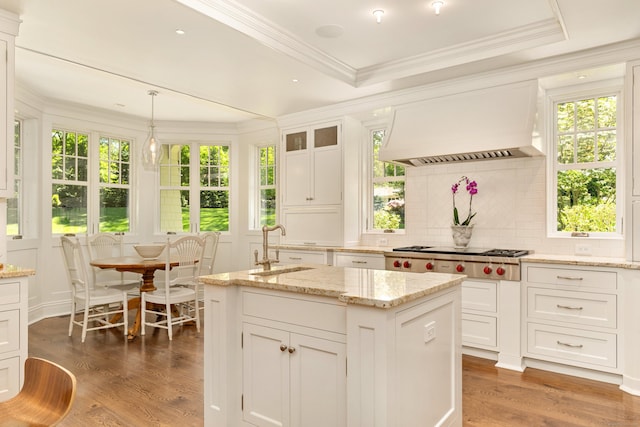 80 Compo Rd N, Westport, CT 06880 - kitchen with custom range hood, stainless steel gas stovetop, a sink, white cabinetry, and backsplash