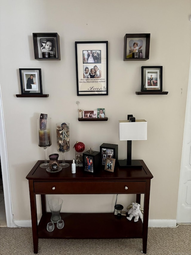 309 High Path Rd Unit 309, Windsor, CT 06095 - detailed view of carpet and baseboards
