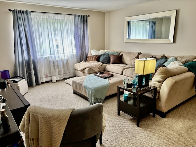 309 High Path Rd Unit 309, Windsor, CT 06095 - living area with carpet and plenty of natural light