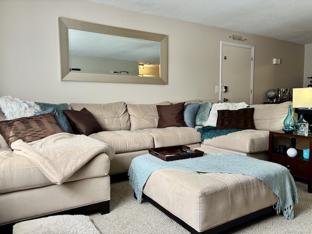 309 High Path Rd Unit 309, Windsor, CT 06095 - living room with carpet