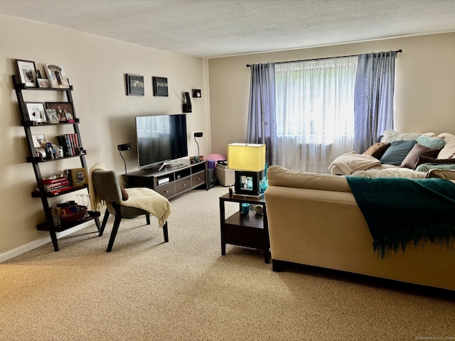 309 High Path Rd Unit 309, Windsor, CT 06095 - carpeted living area with a textured ceiling