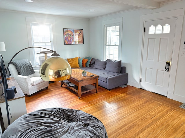 124 Richards St, West Haven, CT 06516 - living area featuring crown molding and light wood finished floors