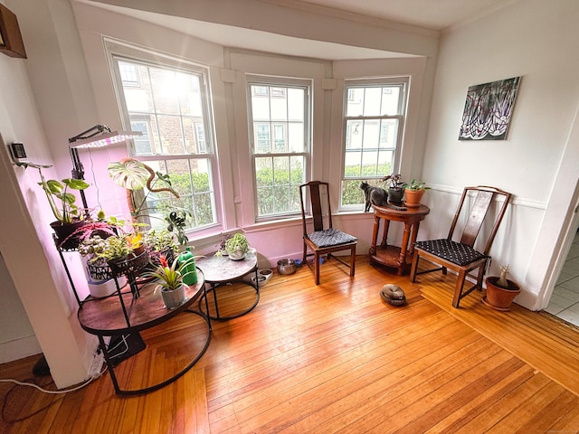 124 Richards St, West Haven, CT 06516 - sitting room with plenty of natural light, wood-type flooring, and ornamental molding