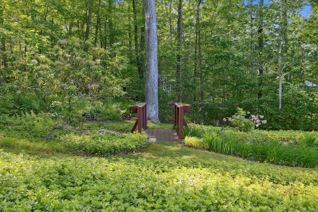 49 Longwood Dr, East Haddam, CT 06415 - view of yard with a forest view