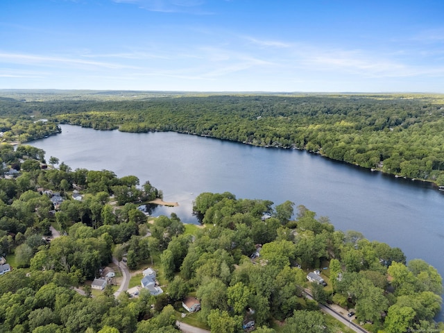 49 Longwood Dr, East Haddam, CT 06415 - aerial view of a heavily wooded area and a nearby body of water
