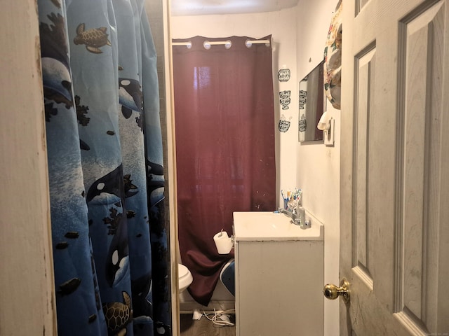 96 S St, Windham, CT 06226 - full bathroom featuring vanity, toilet, and a shower with shower curtain