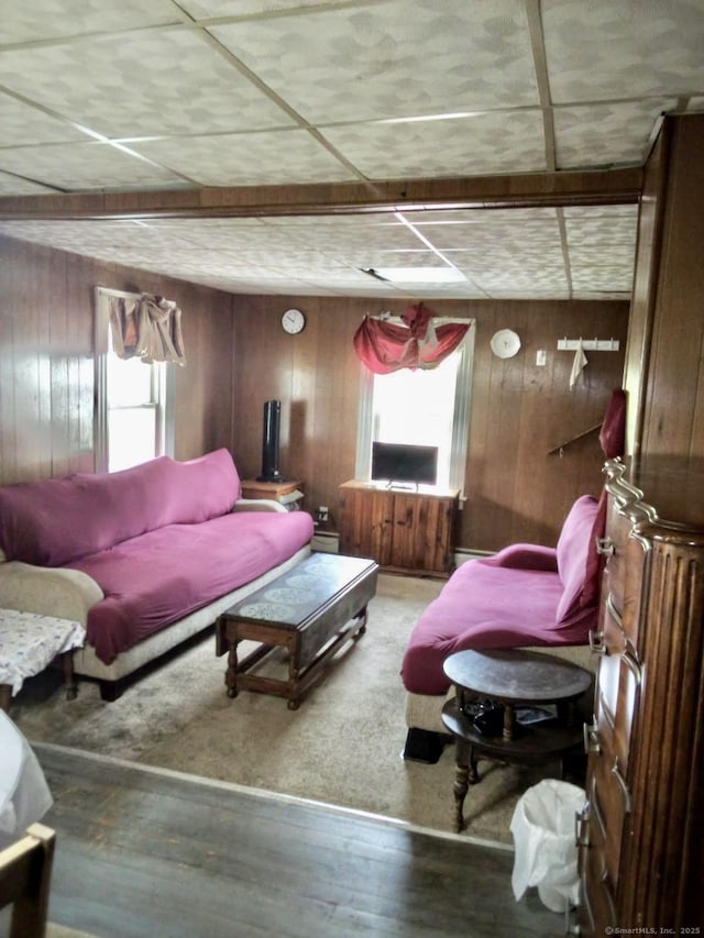 100 Roosevelt Ave, Torrington, CT 06790 - living area with wood walls, plenty of natural light, and wood finished floors