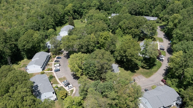 13 Hidden Knolls Cir Unit 13, Monroe, CT 06468 - aerial view of property's location with a heavily wooded area and nearby suburban area