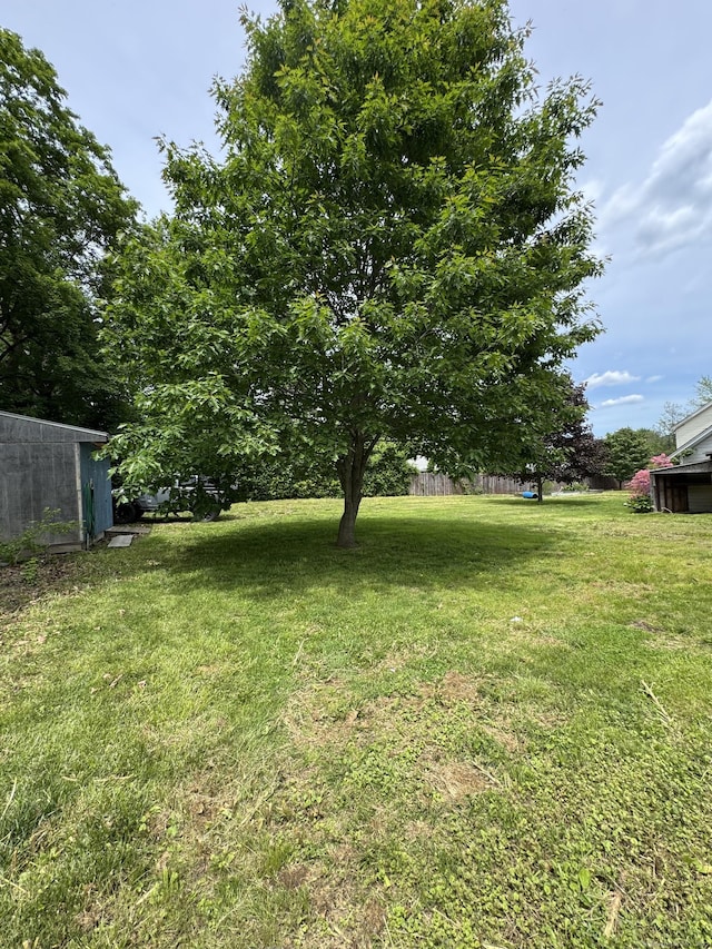 160 New Litchfield St, Torrington, CT 06790 - view of green lawn