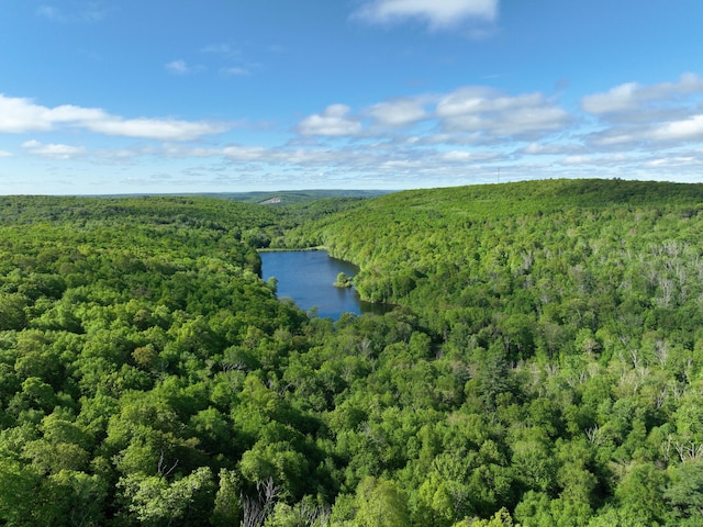 201 Diamond Ledge Rd, Stafford, CT 06076