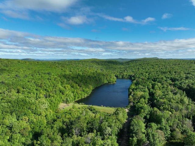 201 Diamond Ledge Rd, Stafford, CT 06076