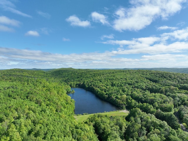 201 Diamond Ledge Rd, Stafford, CT 06076