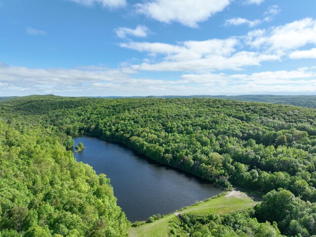201 Diamond Ledge Rd, Stafford, CT 06076