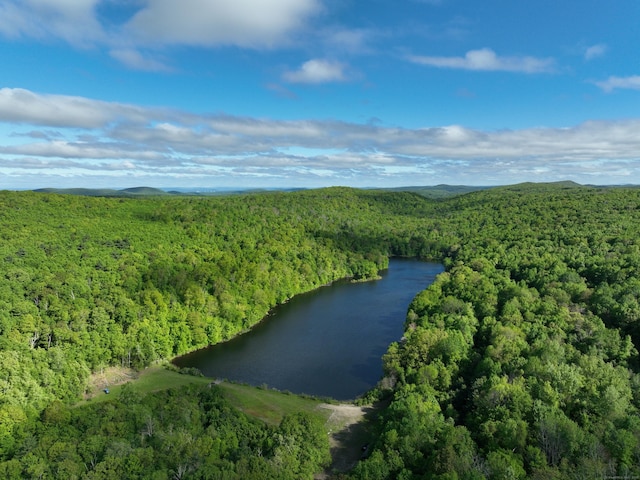 201 Diamond Ledge Rd, Stafford, CT 06076