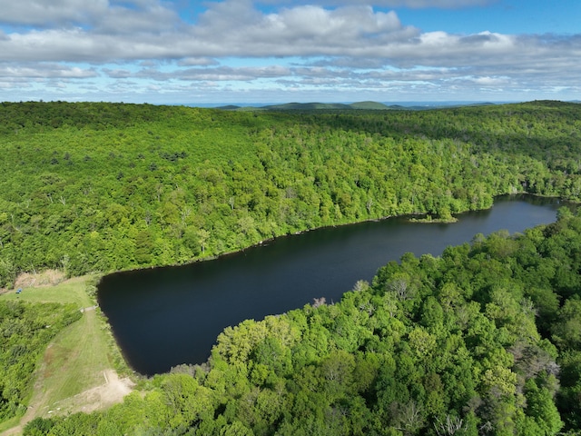 201 Diamond Ledge Rd, Stafford, CT 06076