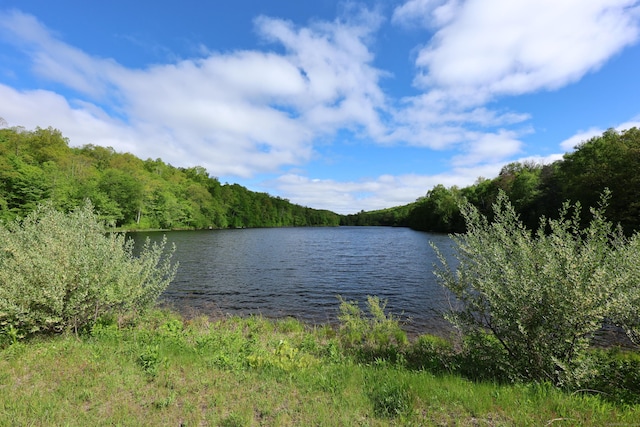 201 Diamond Ledge Rd, Stafford, CT 06076