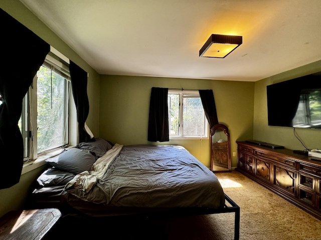10 Laurel Trl, Durham, CT 06422 - view of carpeted bedroom