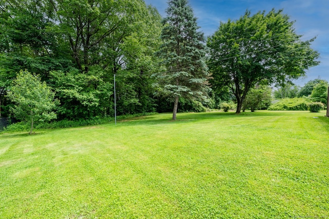 39 Ivy Dr, Southington, CT 06489 - view of grassy yard