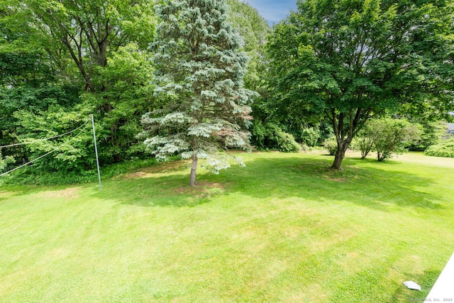 39 Ivy Dr, Southington, CT 06489 - view of green lawn