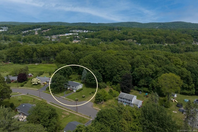 39 Ivy Dr, Southington, CT 06489 - view of property location with a forest