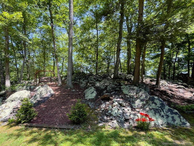 9A Obtuse Rocks Rd, Brookfield, CT 06804 - view of yard