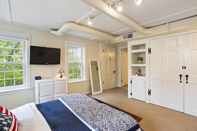 8 Cider Mill Rd, Tolland, CT 06084 - bedroom with rail lighting, multiple windows, and carpet flooring