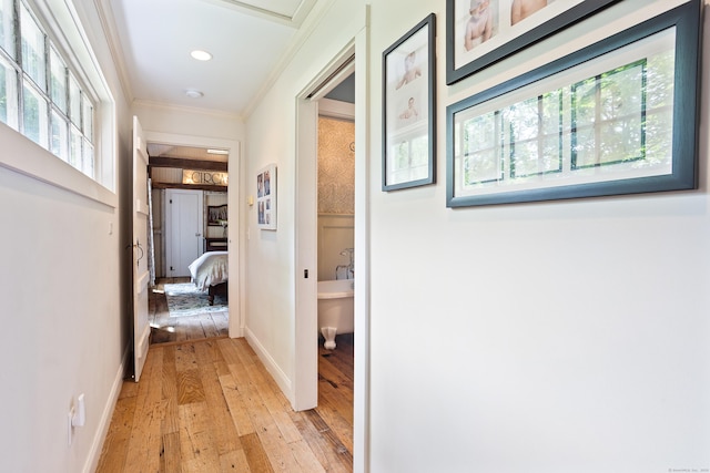8 Cider Mill Rd, Tolland, CT 06084 - hallway featuring light wood-style flooring, healthy amount of natural light, crown molding, baseboards, and recessed lighting