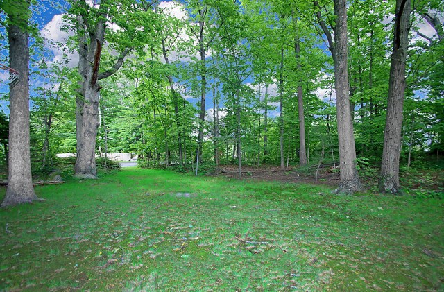 202 Wilson Rd, Orange, CT 06477 - view of yard
