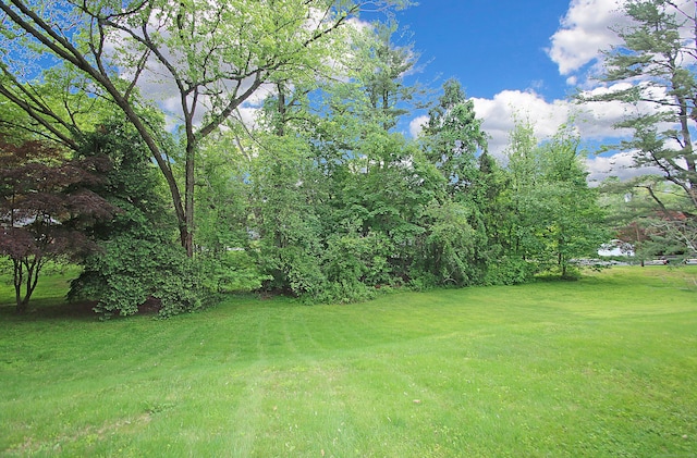 202 Wilson Rd, Orange, CT 06477 - view of grassy yard