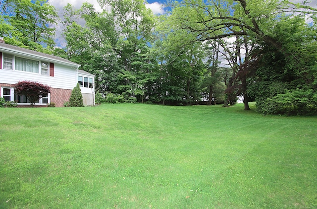 202 Wilson Rd, Orange, CT 06477 - view of green lawn
