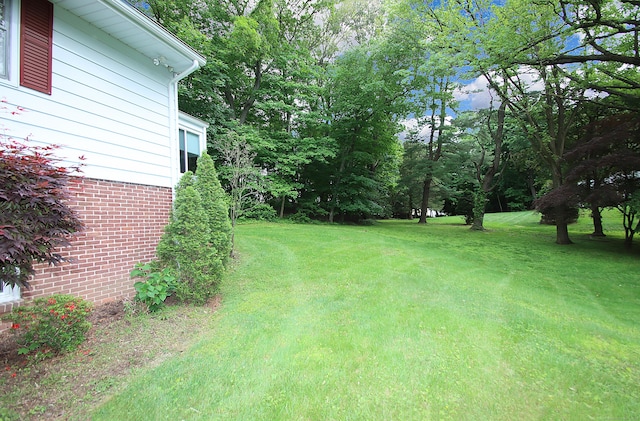 202 Wilson Rd, Orange, CT 06477 - view of grassy yard