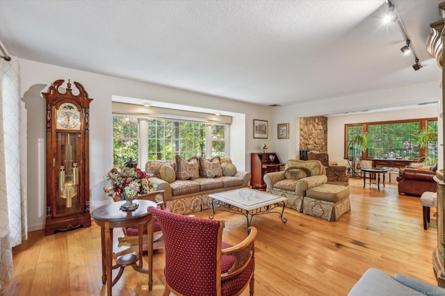 33 Cold Spring Rd, Avon, CT 06001 - living room featuring rail lighting and light wood-style floors