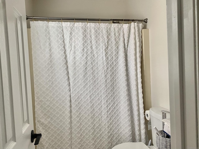 10 Richards Ave, Seymour, CT 06483 - bathroom featuring toilet and a shower with curtain