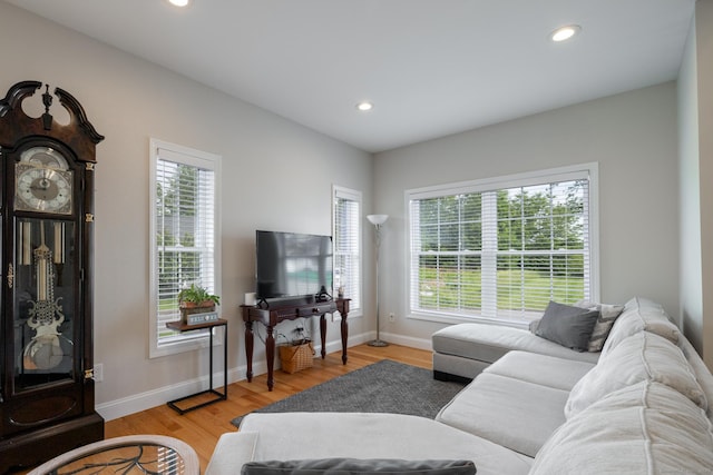 100 Silver Island Way Unit 100, Berlin, CT 06037 - living room with plenty of natural light, recessed lighting, light wood-style floors, and baseboards